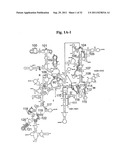 SECONDARY STRUCTURE DEFINING DATABASE AND METHODS FOR DETERMINING IDENTITY     AND GEOGRAPHIC ORIGIN OF AN UNKNOWN BIOAGENT THEREBY diagram and image