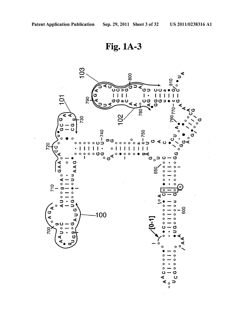 SECONDARY STRUCTURE DEFINING DATABASE AND METHODS FOR DETERMINING IDENTITY     AND GEOGRAPHIC ORIGIN OF AN UNKNOWN BIOAGENT THEREBY - diagram, schematic, and image 04