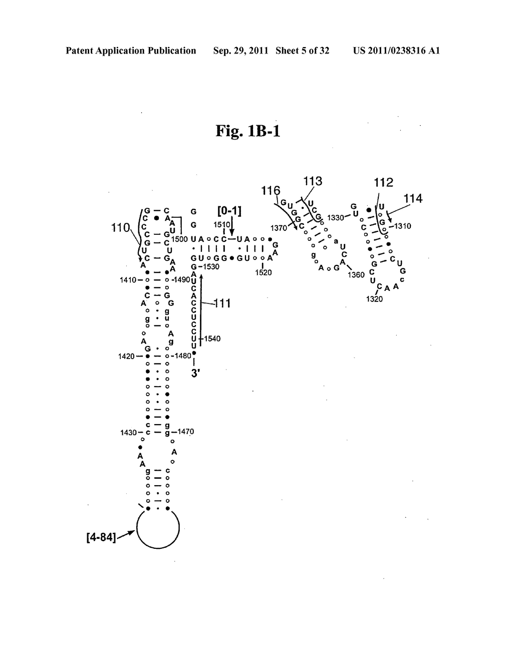 SECONDARY STRUCTURE DEFINING DATABASE AND METHODS FOR DETERMINING IDENTITY     AND GEOGRAPHIC ORIGIN OF AN UNKNOWN BIOAGENT THEREBY - diagram, schematic, and image 06