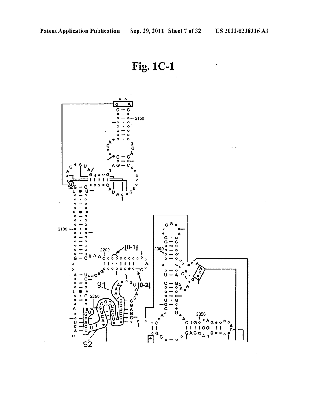 SECONDARY STRUCTURE DEFINING DATABASE AND METHODS FOR DETERMINING IDENTITY     AND GEOGRAPHIC ORIGIN OF AN UNKNOWN BIOAGENT THEREBY - diagram, schematic, and image 08