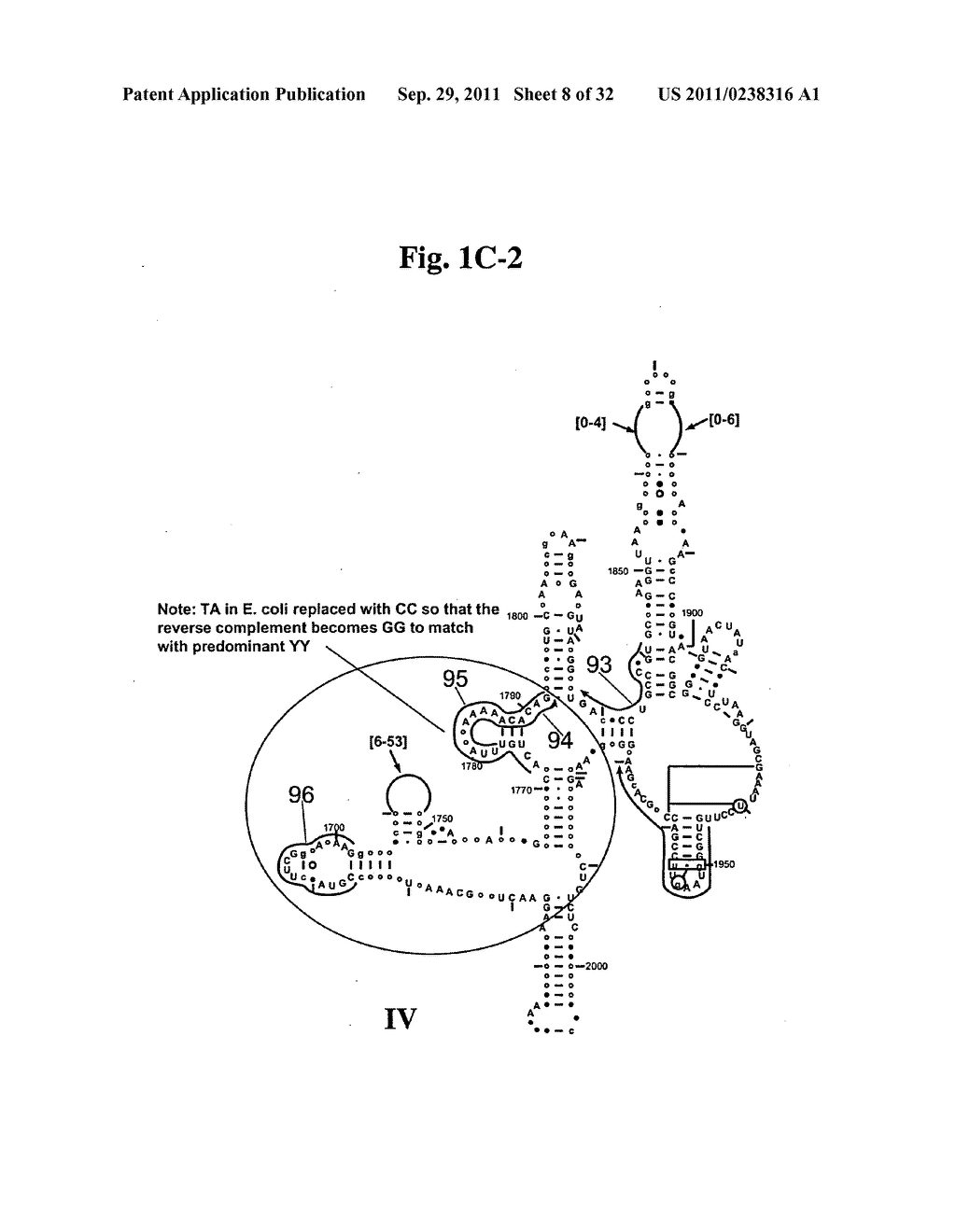 SECONDARY STRUCTURE DEFINING DATABASE AND METHODS FOR DETERMINING IDENTITY     AND GEOGRAPHIC ORIGIN OF AN UNKNOWN BIOAGENT THEREBY - diagram, schematic, and image 09