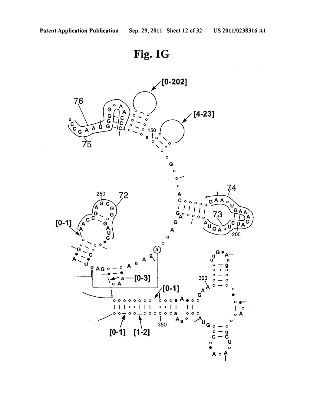 SECONDARY STRUCTURE DEFINING DATABASE AND METHODS FOR DETERMINING IDENTITY     AND GEOGRAPHIC ORIGIN OF AN UNKNOWN BIOAGENT THEREBY - diagram, schematic, and image 13