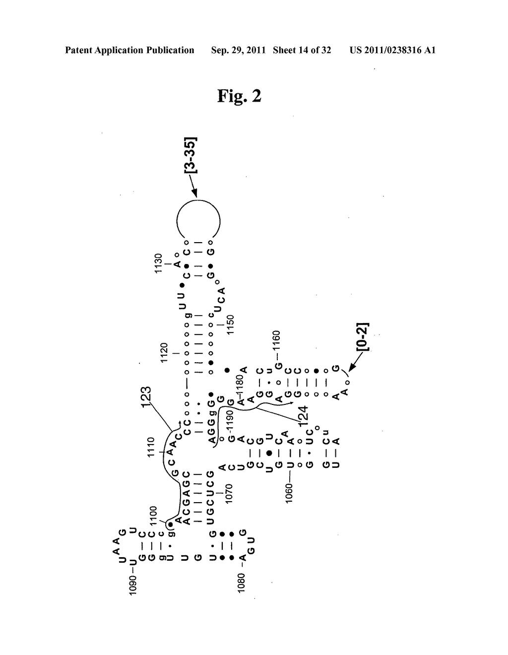 SECONDARY STRUCTURE DEFINING DATABASE AND METHODS FOR DETERMINING IDENTITY     AND GEOGRAPHIC ORIGIN OF AN UNKNOWN BIOAGENT THEREBY - diagram, schematic, and image 15