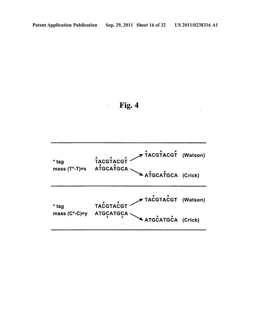 SECONDARY STRUCTURE DEFINING DATABASE AND METHODS FOR DETERMINING IDENTITY     AND GEOGRAPHIC ORIGIN OF AN UNKNOWN BIOAGENT THEREBY - diagram, schematic, and image 17