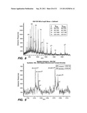 SECONDARY STRUCTURE DEFINING DATABASE AND METHODS FOR DETERMINING IDENTITY     AND GEOGRAPHIC ORIGIN OF AN UNKNOWN BIOAGENT THEREBY diagram and image