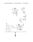 SECONDARY STRUCTURE DEFINING DATABASE AND METHODS FOR DETERMINING IDENTITY     AND GEOGRAPHIC ORIGIN OF AN UNKNOWN BIOAGENT THEREBY diagram and image