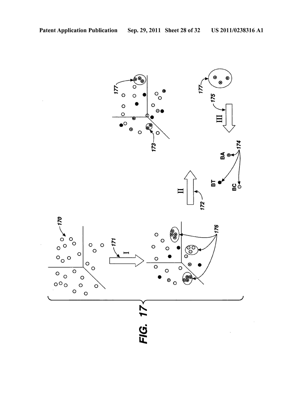 SECONDARY STRUCTURE DEFINING DATABASE AND METHODS FOR DETERMINING IDENTITY     AND GEOGRAPHIC ORIGIN OF AN UNKNOWN BIOAGENT THEREBY - diagram, schematic, and image 29