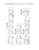 AUTOMATIC HAIR WASHING MACHINE diagram and image