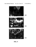 MODIFIED PIGMENTS AND METHODS FOR MAKING AND USING THE SAME diagram and image