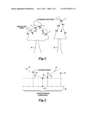 SYSTEM AND METHOD FOR IDENTIFYING INDIVIDUAL TREES IN LIDAR DATA USING     LOCAL VIEW diagram and image