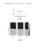 METHODS AND APPARATUS TO IDENTIFY LAYER BOUNDARIES IN SUBTERRANEAN     FORMATIONS diagram and image