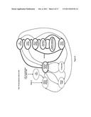 TECHNIQUES FOR TIME TRANSFER VIA SIGNAL ENCODING diagram and image