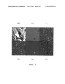 POWER OF TUNGSTEN ALLOY WITH TRANSITION METAL DISSOLVED THEREIN AS SOLID     SOLUTION AND PROCESS FOR PRODUCING THE SAME diagram and image