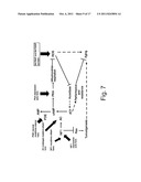 Methods and systems for identifying modulators of longevity diagram and image