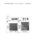 SHIGA TOXIN B-SUBUNIT AS A VECTOR FOR TUMOR DIAGNOSIS AND DRUG DELIVERY TO     GB3 EXPRESSING TUMORS diagram and image