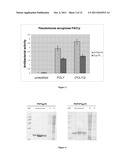 ANTIMICROBIAL AGENTS diagram and image