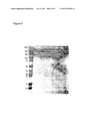 ANTI-P-SELECTIN ANTIBODIES AND METHODS OF USING THE SAME TO TREAT     INFLAMMATORY DISEASES diagram and image