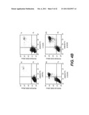 TARGETING PAX2 FOR THE TREATMENT OF BREAST CANCER diagram and image