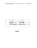 TARGETING PAX2 FOR THE TREATMENT OF BREAST CANCER diagram and image