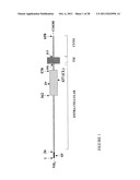 METHODS OF DIAGNOSING AND TREATING COMPLICATIONS OF PREGNANCY diagram and image