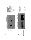 METHODS OF DIAGNOSING AND TREATING COMPLICATIONS OF PREGNANCY diagram and image