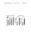 MODULATING NEURONAL PLASTICITY AND TREATMENT OF NEURONAL LOSS BY     MODULATIONG WNT7A OR WNT7B MODULATION diagram and image