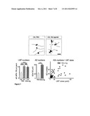 MODULATING NEURONAL PLASTICITY AND TREATMENT OF NEURONAL LOSS BY     MODULATIONG WNT7A OR WNT7B MODULATION diagram and image