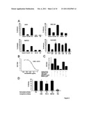 ANTIBODIES AGAINST DOMAINS OF LAMININ-332 diagram and image