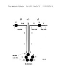 ANTIBODIES AGAINST DOMAINS OF LAMININ-332 diagram and image