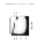 SINGLE CHAIN Fc (ScFc) REGIONS, BINDING POLYPEPTIDES COMPRISING SAME, AND     METHODS RELATED THERETO diagram and image