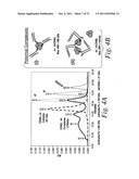 SINGLE CHAIN Fc (ScFc) REGIONS, BINDING POLYPEPTIDES COMPRISING SAME, AND     METHODS RELATED THERETO diagram and image