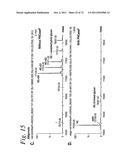 SINGLE CHAIN Fc (ScFc) REGIONS, BINDING POLYPEPTIDES COMPRISING SAME, AND     METHODS RELATED THERETO diagram and image