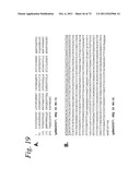 SINGLE CHAIN Fc (ScFc) REGIONS, BINDING POLYPEPTIDES COMPRISING SAME, AND     METHODS RELATED THERETO diagram and image