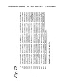 SINGLE CHAIN Fc (ScFc) REGIONS, BINDING POLYPEPTIDES COMPRISING SAME, AND     METHODS RELATED THERETO diagram and image