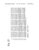 SINGLE CHAIN Fc (ScFc) REGIONS, BINDING POLYPEPTIDES COMPRISING SAME, AND     METHODS RELATED THERETO diagram and image