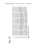 SINGLE CHAIN Fc (ScFc) REGIONS, BINDING POLYPEPTIDES COMPRISING SAME, AND     METHODS RELATED THERETO diagram and image