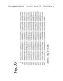 SINGLE CHAIN Fc (ScFc) REGIONS, BINDING POLYPEPTIDES COMPRISING SAME, AND     METHODS RELATED THERETO diagram and image