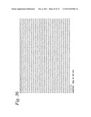 SINGLE CHAIN Fc (ScFc) REGIONS, BINDING POLYPEPTIDES COMPRISING SAME, AND     METHODS RELATED THERETO diagram and image