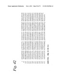 SINGLE CHAIN Fc (ScFc) REGIONS, BINDING POLYPEPTIDES COMPRISING SAME, AND     METHODS RELATED THERETO diagram and image