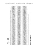 SINGLE CHAIN Fc (ScFc) REGIONS, BINDING POLYPEPTIDES COMPRISING SAME, AND     METHODS RELATED THERETO diagram and image