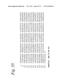 SINGLE CHAIN Fc (ScFc) REGIONS, BINDING POLYPEPTIDES COMPRISING SAME, AND     METHODS RELATED THERETO diagram and image