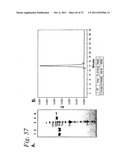 SINGLE CHAIN Fc (ScFc) REGIONS, BINDING POLYPEPTIDES COMPRISING SAME, AND     METHODS RELATED THERETO diagram and image