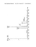 SINGLE CHAIN Fc (ScFc) REGIONS, BINDING POLYPEPTIDES COMPRISING SAME, AND     METHODS RELATED THERETO diagram and image