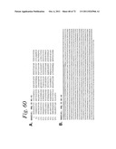 SINGLE CHAIN Fc (ScFc) REGIONS, BINDING POLYPEPTIDES COMPRISING SAME, AND     METHODS RELATED THERETO diagram and image