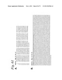 SINGLE CHAIN Fc (ScFc) REGIONS, BINDING POLYPEPTIDES COMPRISING SAME, AND     METHODS RELATED THERETO diagram and image