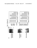 THERAPEUTIC APPLICATIONS OF P53 ISOFORMS IN REGENERATIVE MEDICINE, AGING     AND CANCER diagram and image