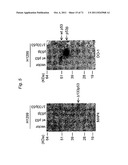 THERAPEUTIC APPLICATIONS OF P53 ISOFORMS IN REGENERATIVE MEDICINE, AGING     AND CANCER diagram and image