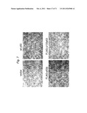 THERAPEUTIC APPLICATIONS OF P53 ISOFORMS IN REGENERATIVE MEDICINE, AGING     AND CANCER diagram and image