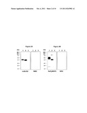 Chimeric MSP-Based Malaria Vaccine diagram and image