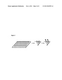 Method for diagnosing and creating immunogenic tolerance in contact     allergy and other epithelial immunotoxicological ailments diagram and image